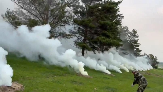 从“被动除治”到“主动防控” 三位一体防控体系让病虫害防治更精准——内蒙古红花尔基樟子松林国家级自然保护区2025年度病虫害防治工作纪实