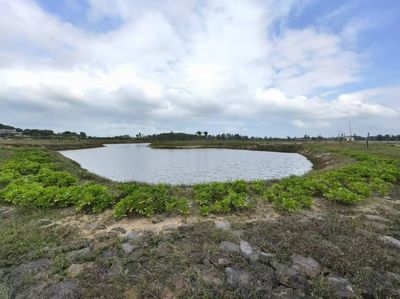 2024年海南省自然资源和规划工作答卷 自然生态系统保护管理成效显著