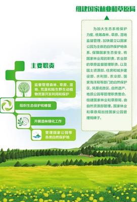 命运共同体与生态共赢链 自然生态系统保护管理之路