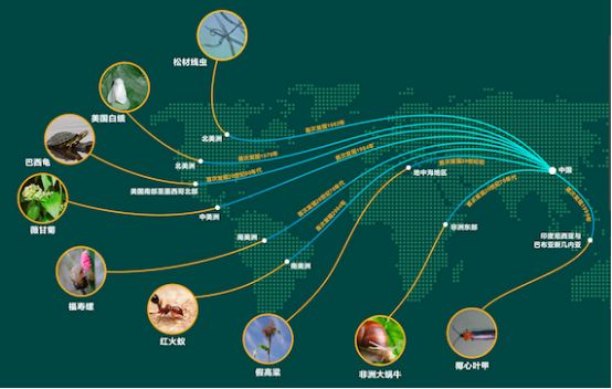 保护生物多样性 守住自然生态安全边界