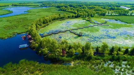 556万公顷湿地构筑龙江独特生态 自然生态系统保护管理