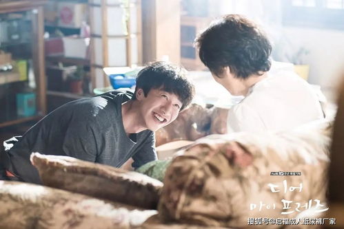 养老之困 呼唤孝道回归与制度革新，兼思自然生态保护之鉴