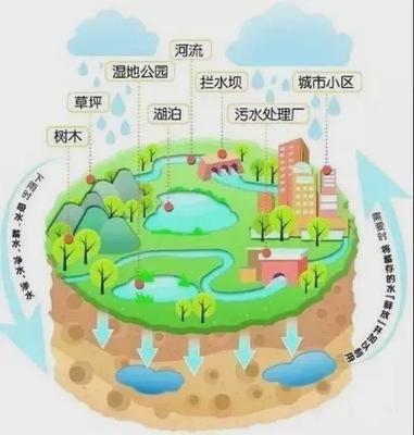 四川唯一，泸州市再添一张城市“新名片” 海绵城市如何重塑自然生态系统保护管理？